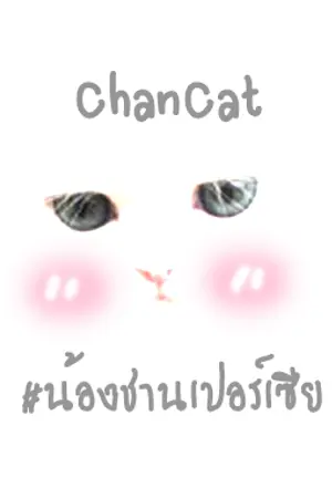 ปกนิยาย Chan Cat # น้องชานเปอร์เซีย [Chanbaek]