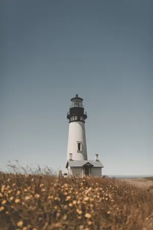 ปกนิยาย [BLACKPINK] spring fling [jenlisa]