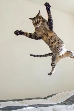 ปกนิยาย เพื่อนกัน..ปัญญาอ่อนดี