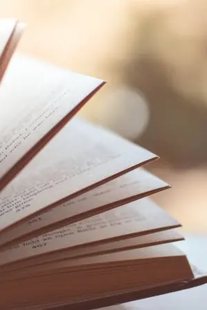 ปกนิยาย The most important [ป๋อจ้าน]