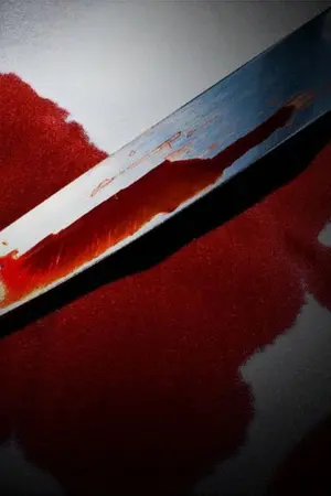 ปกนิยาย My lover [ป๋อจ้าน]