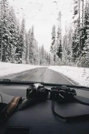 ปกนิยาย #บินกุก Destiny winter