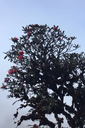 ปกนิยาย OS/SF KAIHUN | WITH YOU ♩♬♡