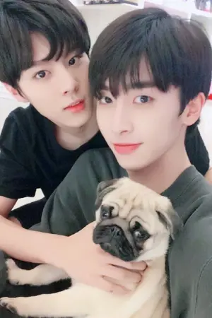 ปกนิยาย [Up10Tion] ShinXiao ft.WeiYoul คนอะไรทำไมน่ารัก