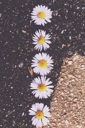 ปกนิยาย let me luv u | hunhan