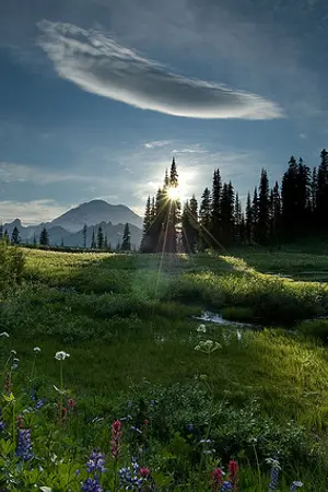 ปกนิยาย Missing flag ตามหาสิ่งที่หายไป