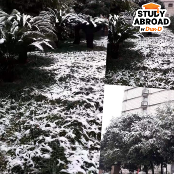 หิมะฤดูหนาว ตกอยู่ 2-3 วัน