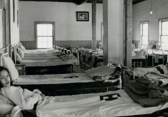 Photo Credit: Origins