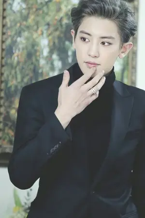 ปกนิยาย Air Hostess |chanbaek|