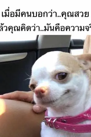 ปกนิยาย [Fic tokyo revengers] You cool! [?? X Oc]