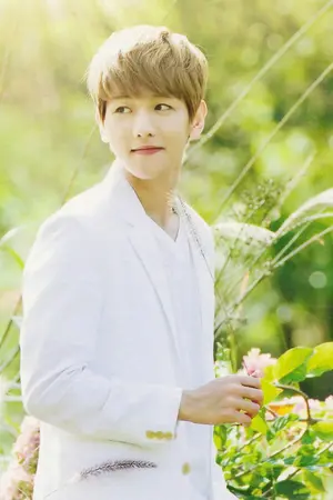 ปกนิยาย △ChanBaek△ FairyBeBAEK