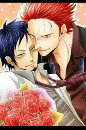 ปกนิยาย One Piece KidxLaw [Love beyond limitation]