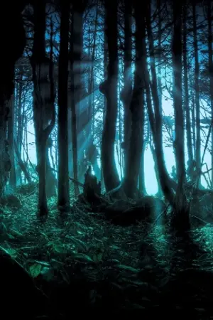 ปกนิยาย โรงเรียนเวทย์แห่งวาเลนเซีย (ป่าของแม่มด ver.)