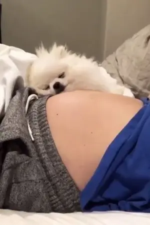 ปกนิยาย ตุลย์อย่าแรด