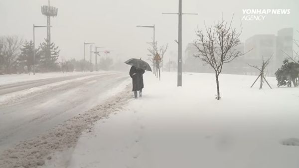 ถนนในเกาหลีกลายเป็นสีขาวหลังจากหิมะถล่มหนัก