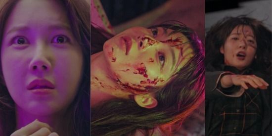 ซีรีส์ Penthouse 