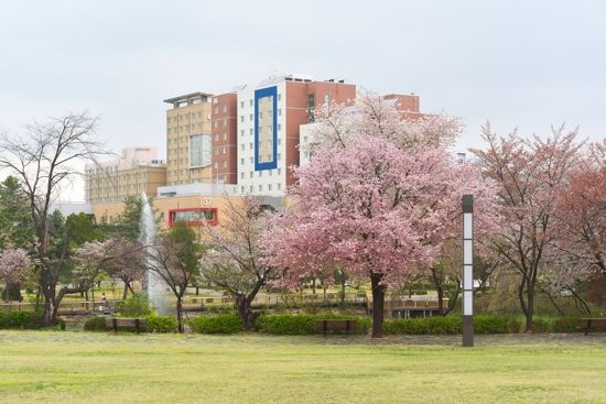 Phptp Credit: https://w.namu.la/