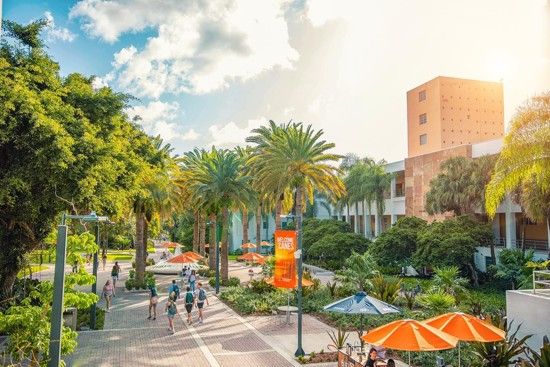 Photo Credit : University of Miami (Facebook)&nbsp;