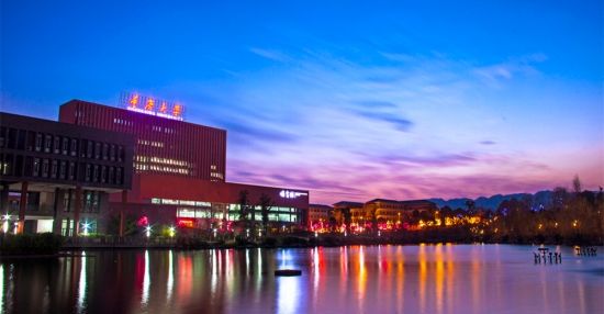 Chongqing University