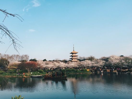 Photo Ctrdit: Unsplash