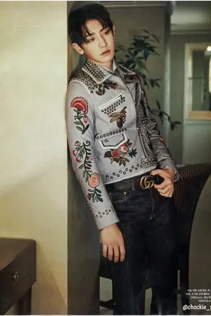 ปกนิยาย [EXO] Twin C (ChanBaek) ft. EXO