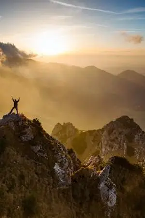 ปกนิยาย แรงบันดาลใจของเจ้าแมวน้อย