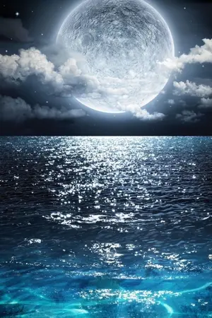 ปกนิยาย เจ้าของพระจันทร์