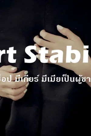 ปกนิยาย Heart Stabilizer มีช็อป มีเกียร์ มีเมียเป็นผู้ชาย [YAOI]