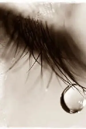 ปกนิยาย I'm diamond