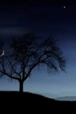 ปกนิยาย [ EXOPINK ] Promise U