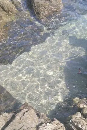 ปกนิยาย EXTRACT