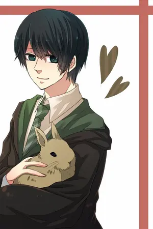 ปกนิยาย Fic Harry potter [TMR/OC] : She is mine