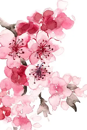 ปกนิยาย BTS x You ||  Rose and Sword #กุหลาบดาบบท