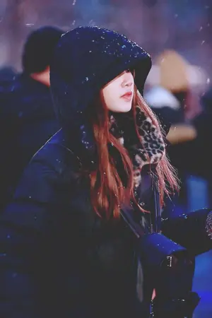 ปกนิยาย Moon of love [lisa×all]