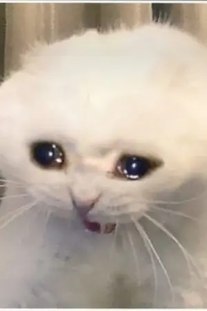 ปกนิยาย ขอเถอะครับพระเจ้า เกิดใหม่ชาตินี้เป็นชาติสุดท้ายได้มั้ย (YAOI)