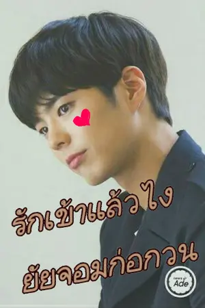 ปกนิยาย รักเข้าแล้วไง ยัยจอมก่อกวน ! ❤