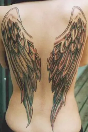 ปกนิยาย Wings  Wonderland Rewrite all