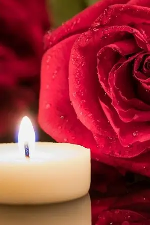 ปกนิยาย แรงรักรอยพิศวาส