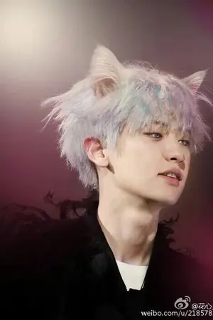 ปกนิยาย Omegaverse [krisyeol]