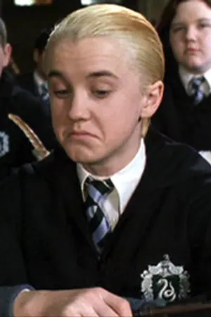ปกนิยาย [Short fic] The Unforgettable Birthday ( Drarry )