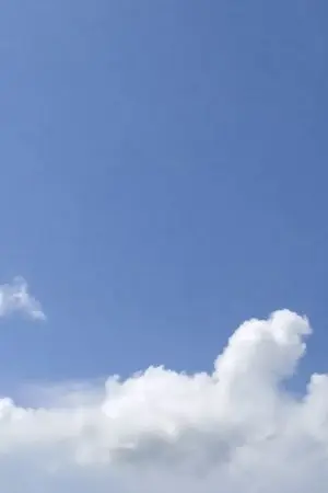 ปกนิยาย [ JJK ] What Where When Why Huh [ Gojo Satoru × OC ]