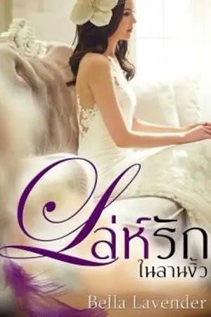 ปกนิยาย