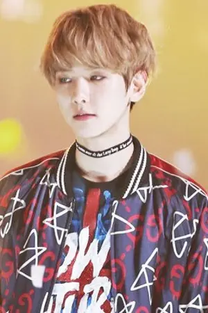 ปกนิยาย [Exo] Baekhyun doll #ฟิคตุ๊กตาชบ [chanbaek]