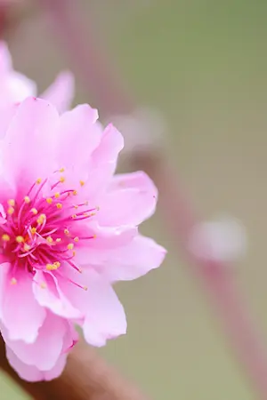 ปกนิยาย ผูกรักข้ามภพ | taeten