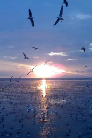 ปกนิยาย รังนกสีรุ้ง