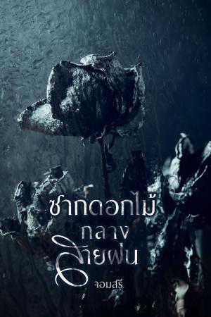 ปกนิยาย ซากดอกไม้กลางสายฝน