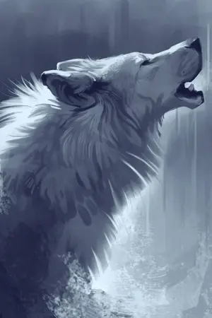 ปกนิยาย kumo desu ga nani ka ดันเกิดใหม่เป็นหมาป่าต่างโลกสะงั้น