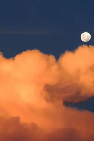 ปกนิยาย {yaoi}moon//คืนนี้พระจันทร์สวย