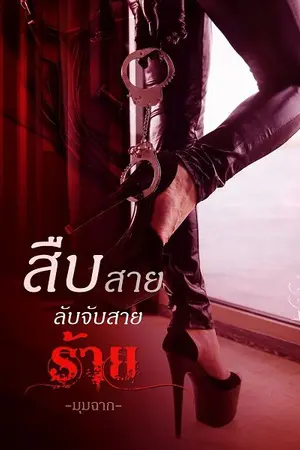 ปกนิยาย สืบสายลับจับสายร้าย (จบแล้วมีอีบุ๊ก)
