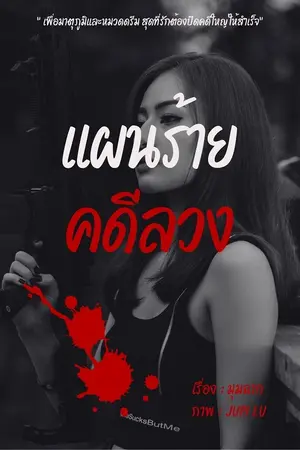 ปกนิยาย